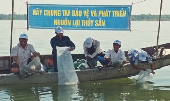 ảnh chủ đề