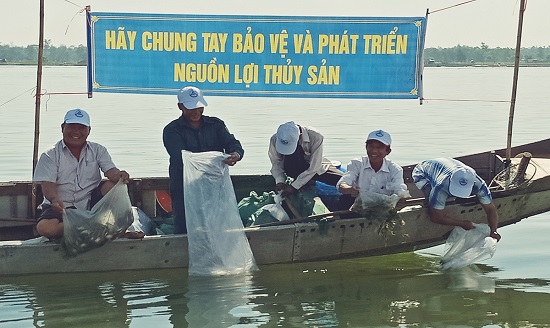 ảnh chủ đề