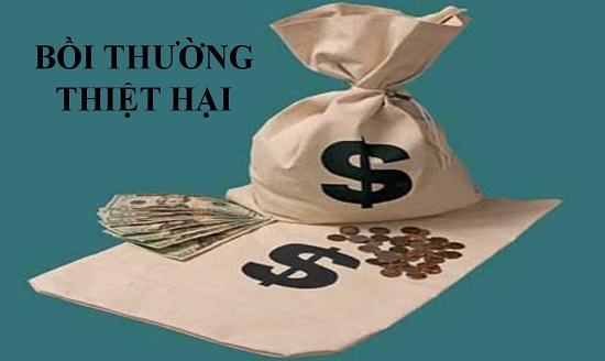 ảnh chủ đề