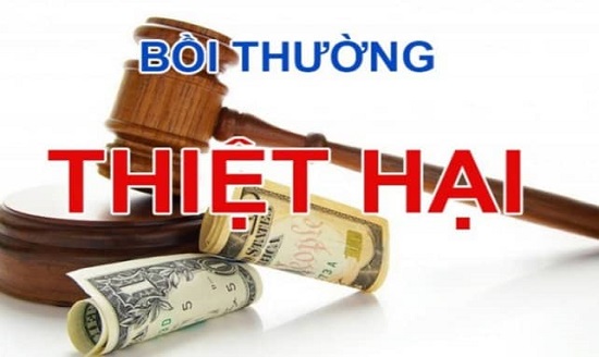 ảnh chủ đề