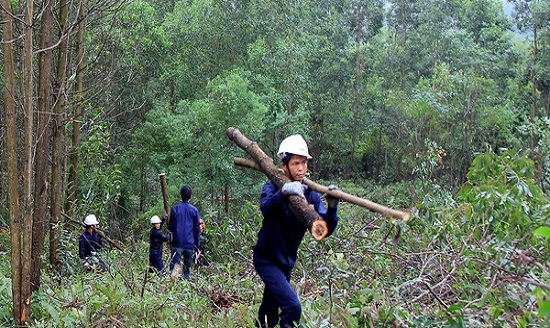 ảnh chủ đề