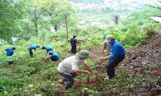 ảnh chủ đề