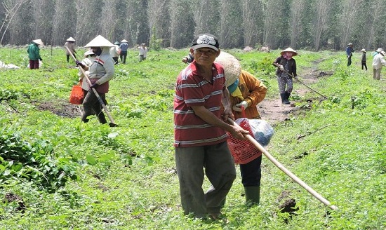 ảnh chủ đề