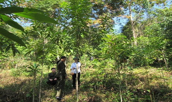 ảnh chủ đề