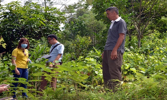 ảnh chủ đề