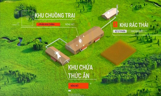 ảnh chủ đề