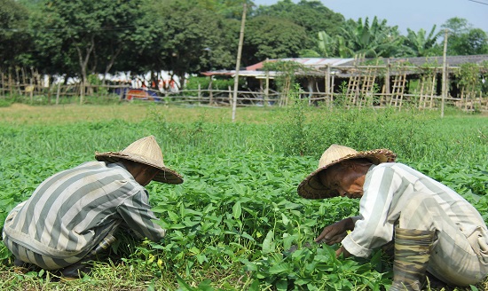 ảnh chủ đề