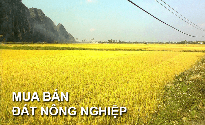 ảnh chủ đề