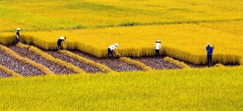 ảnh chủ đề