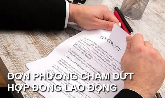 ảnh chủ đề