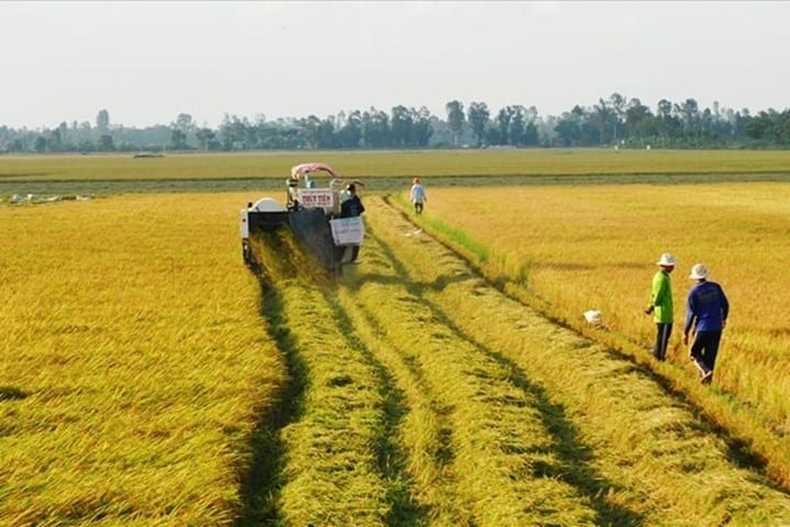 ảnh chủ đề