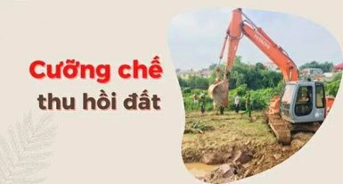 ảnh chủ đề