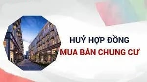 ảnh chủ đề