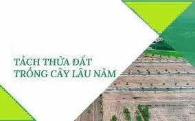 ảnh chủ đề