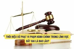 ảnh chủ đề