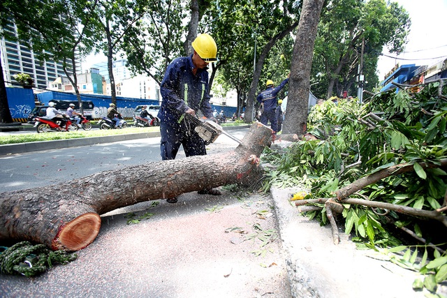 ảnh chủ đề