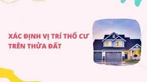 ảnh chủ đề