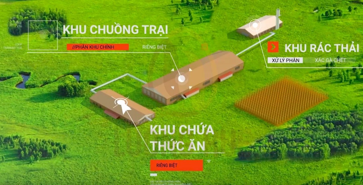 ảnh chủ đề