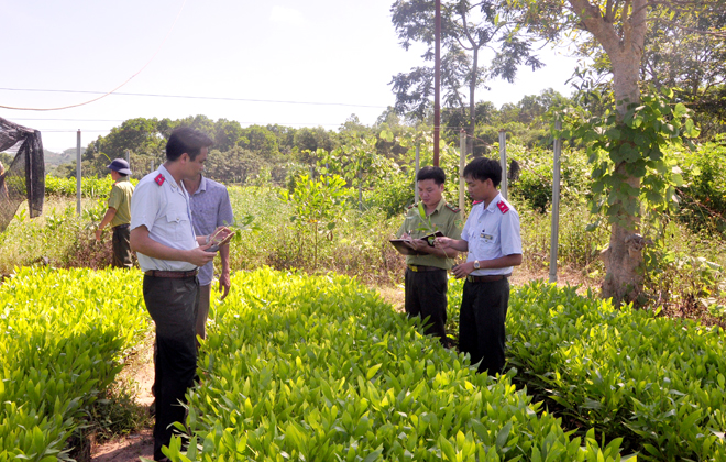 ảnh chủ đề