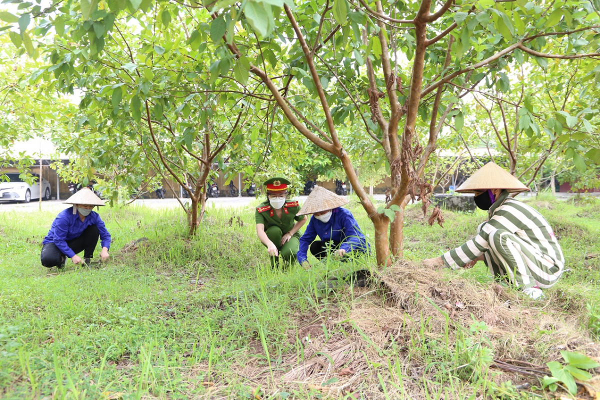 ảnh chủ đề