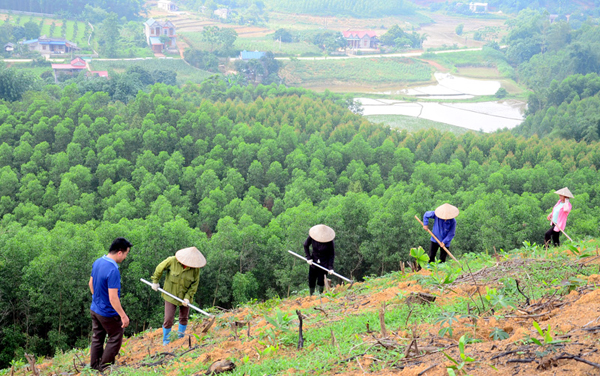 ảnh chủ đề