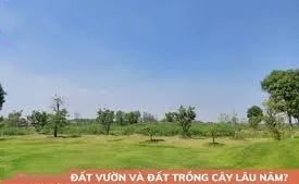 ảnh chủ đề