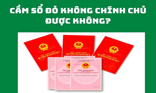 ảnh chủ đề