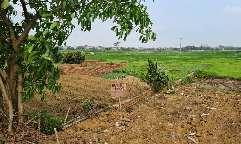 ảnh chủ đề