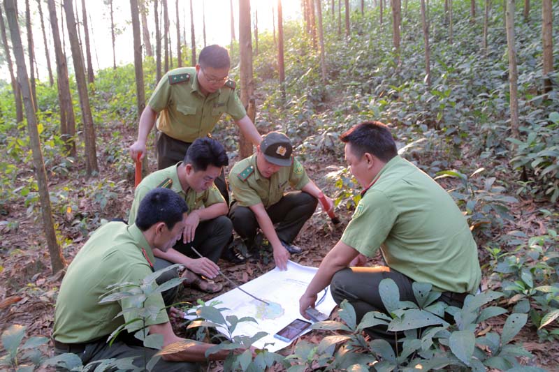 ảnh chủ đề