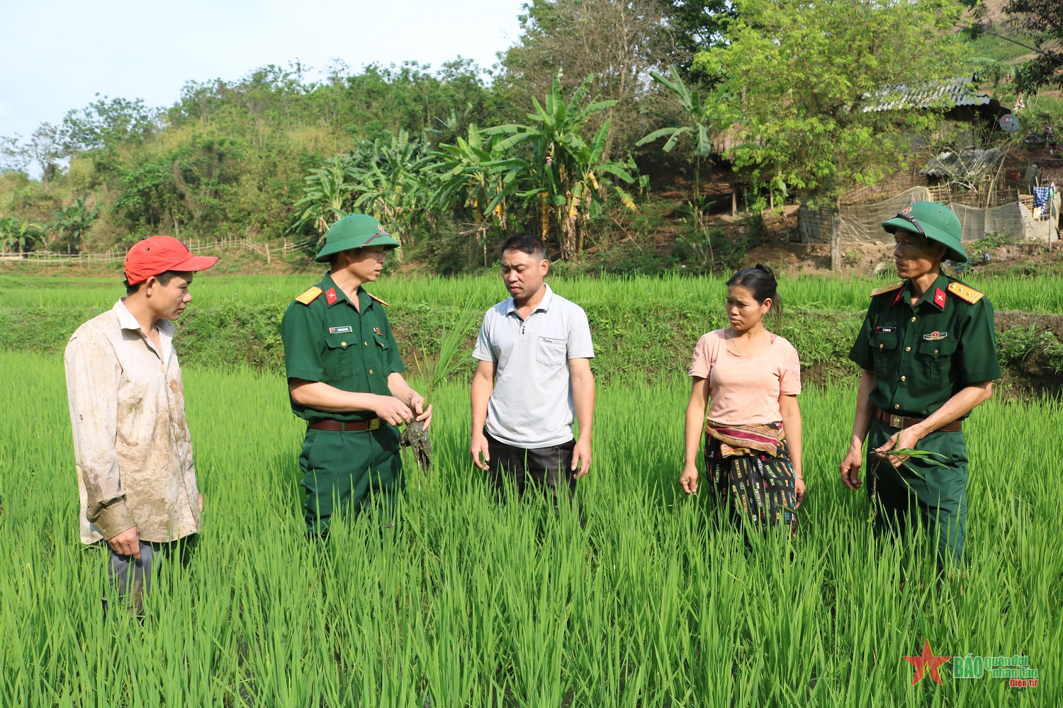 ảnh chủ đề