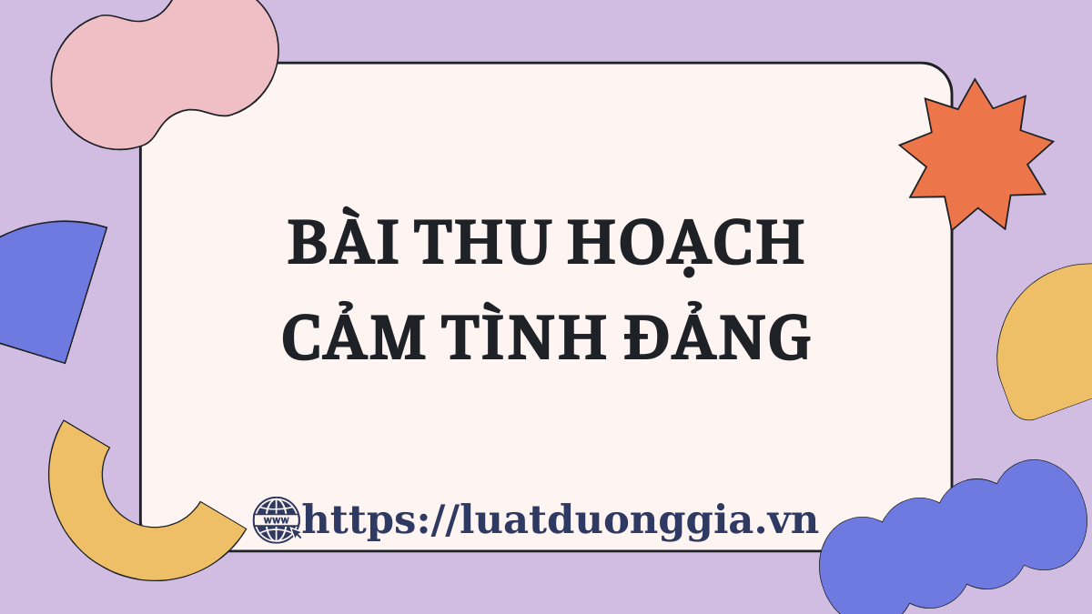 ảnh chủ đề