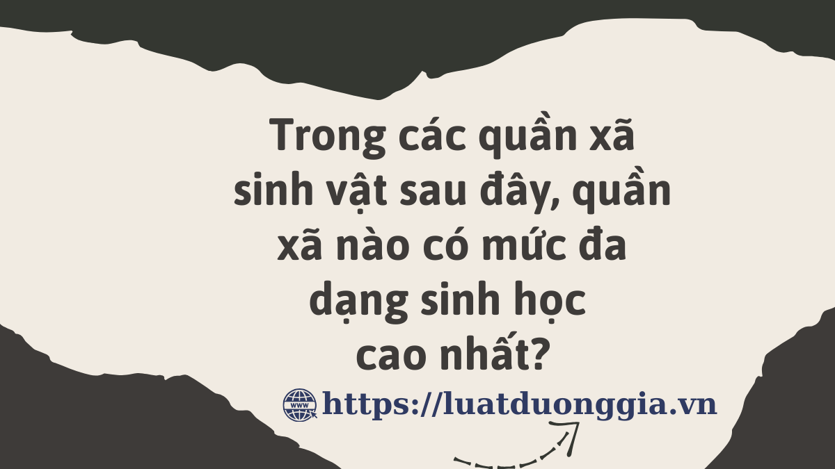 ảnh chủ đề