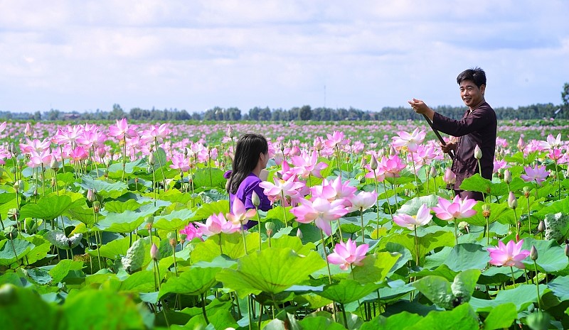 ảnh chủ đề