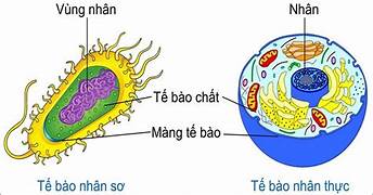 ảnh chủ đề