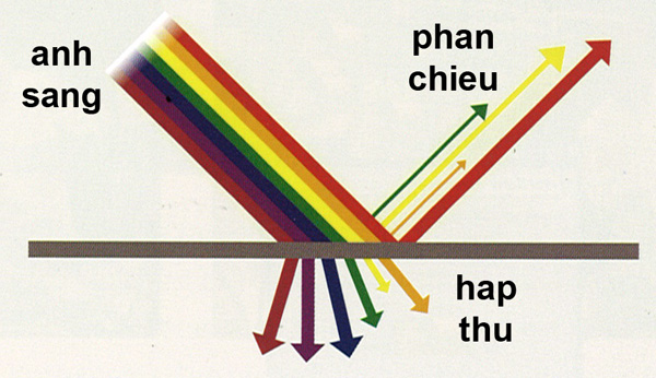 ảnh chủ đề