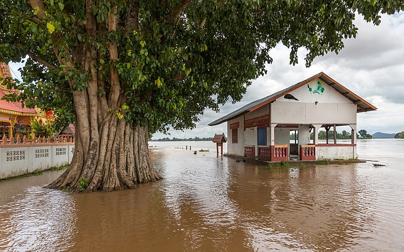 ảnh chủ đề