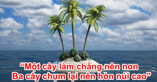 ảnh chủ đề