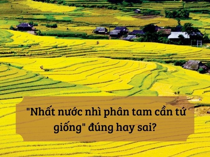 ảnh chủ đề