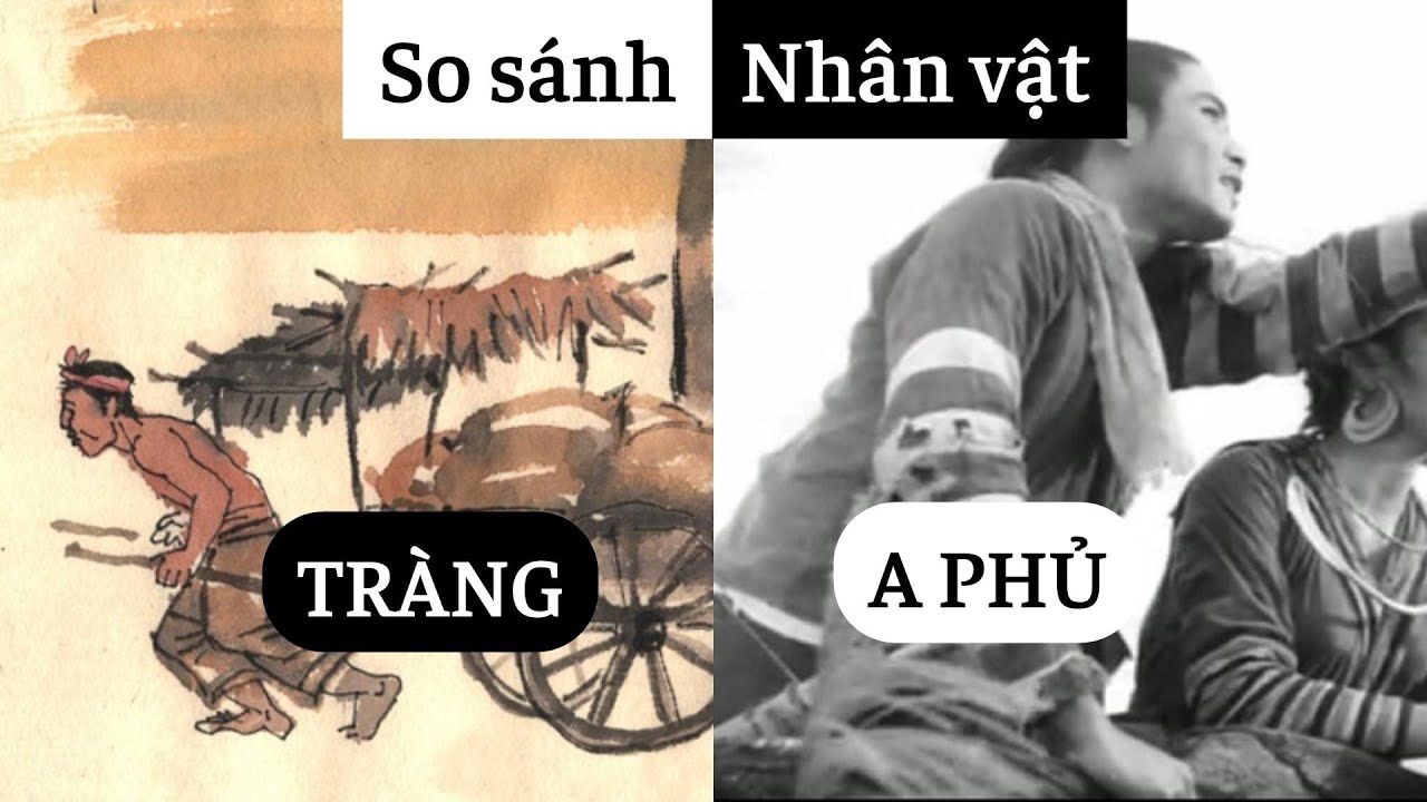 ảnh chủ đề