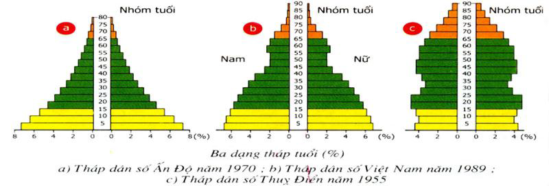 ảnh chủ đề