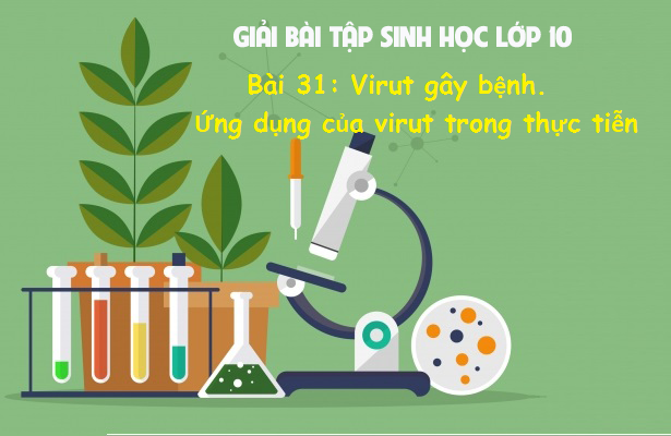 ảnh chủ đề