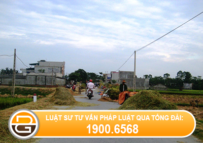 quy-dinh-xu-phat-hanh-vi-lan-chiem-long-duong-de-phoi-thoc