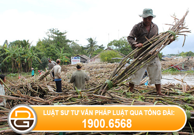 quyet-dinh-2344-qd-ttg-ngay-02-thang-12-nam-2013