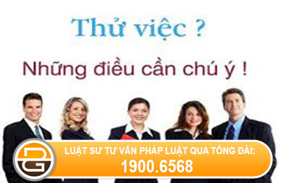 trong-thoi-gian-thu-viec-tu-y-nghi-viec-cong-ty-co-phai-tra-luong-khong.