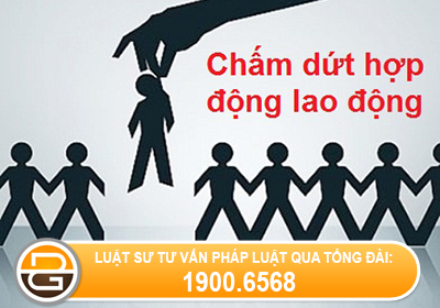 vien-chuc-co-quyen-don-phuong-cham-dut-hop-dong-lam-viec